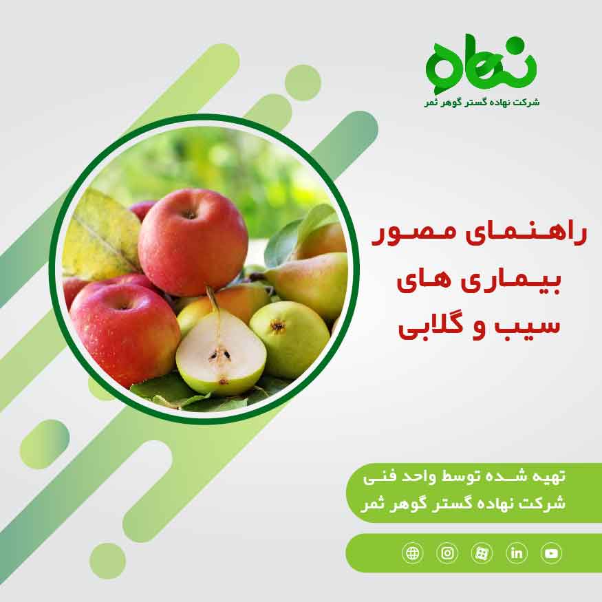  راهنمای مصور بیماری های سیب و گلابی